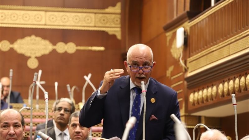 النائب حازم الجندي