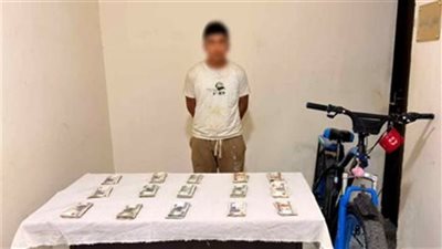سرقة سيارة بمحافظة الشرقية.. وهذه عقوبة المتهم طبقا للقانون