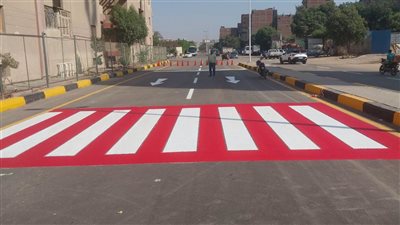 تطوير شارع الكيلاني بالمنيرة الغربية.. رصف بطول كيلومتر ورفع 700 طن مخلفات