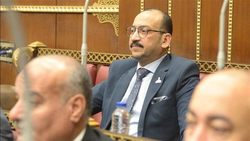 النائب عبد العاطي أحمد