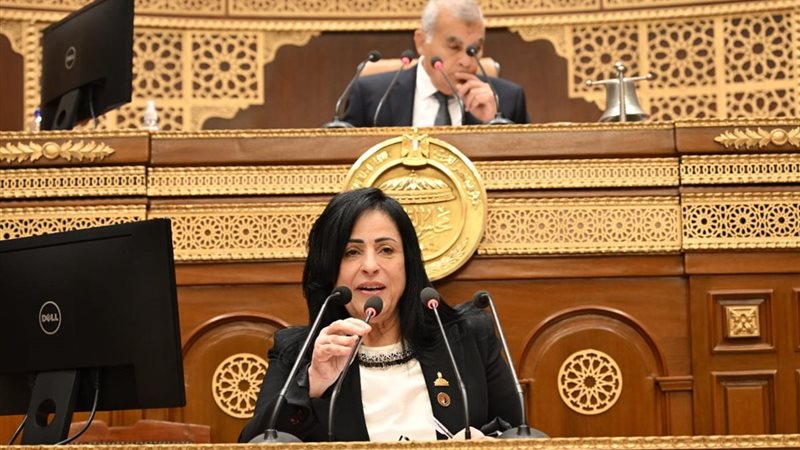 النائبة ميرال جلال الهريدي