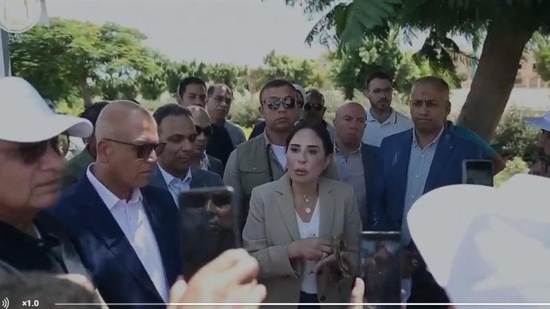 وزيرة الإسكان 