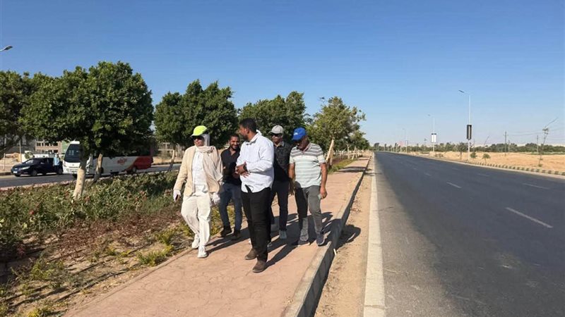 الإسكان 