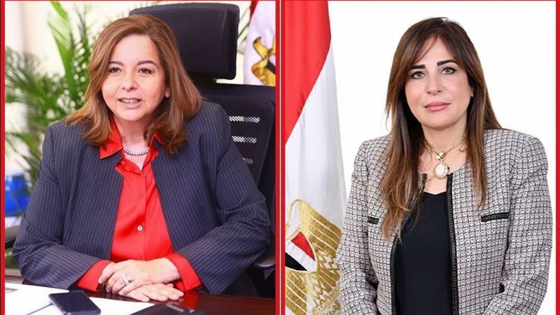  المهندسة راندة المنشاو