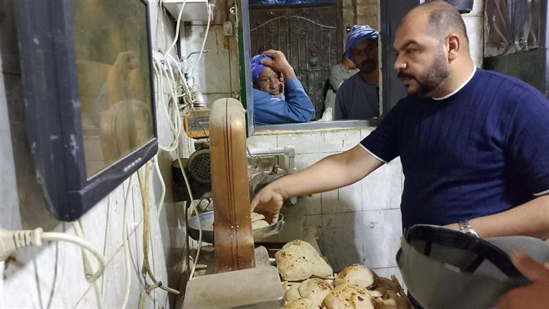 المنيا 