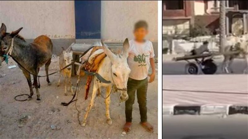 المتهم 