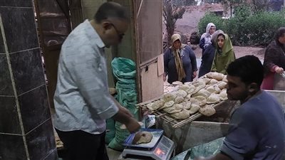 ضربة قوية للتلاعب بالدعم.. ضبط 281 شيكارة دقيق مدعم وتحرير 117 مخالفة بالدقهلية