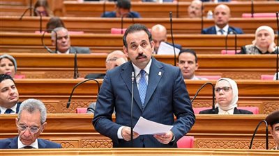 5 ركائز لقانون «مستقبل مصر» الجديد.. من حماية الأصول إلى جذب المستثمرين
