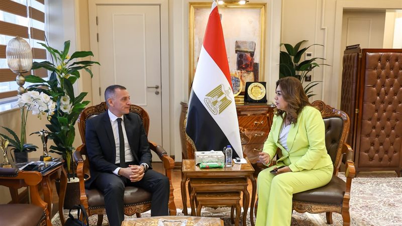 التنمية المحلية 