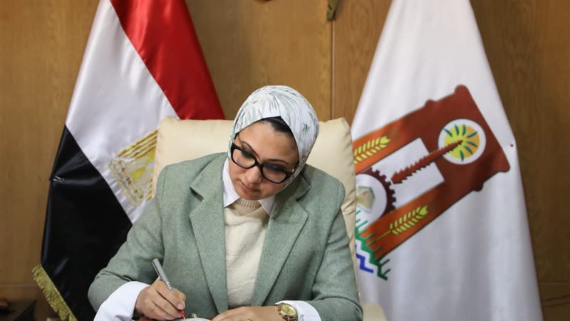 محافظ الوادي الجديد 