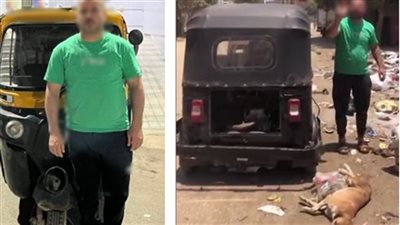 فيديو سحل كلب بالتوك توك يقود إلى القبض على السائق في الجيزة..وهذه عقوبة المتهم