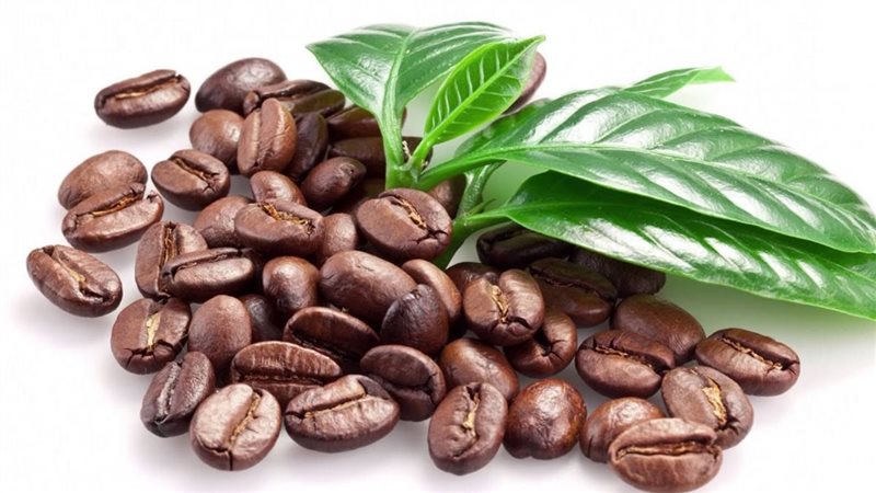 البن