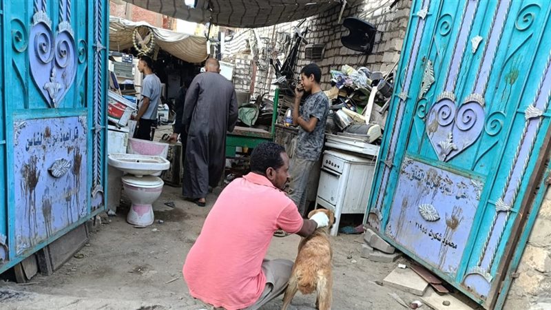 صورة من الكلاب الضاله 