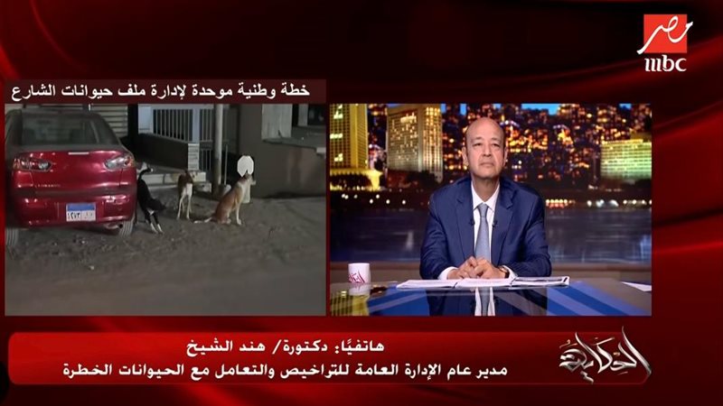 برنامج الحكاية