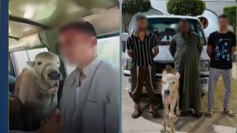 المتهمون 