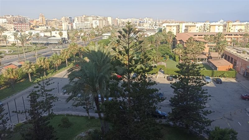 بورسعيد 