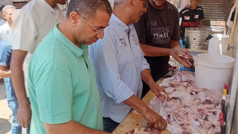المنيا 