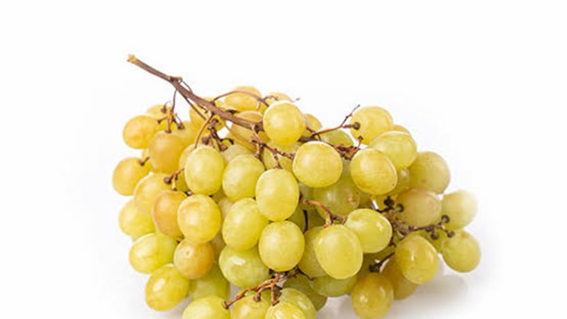 عنب 