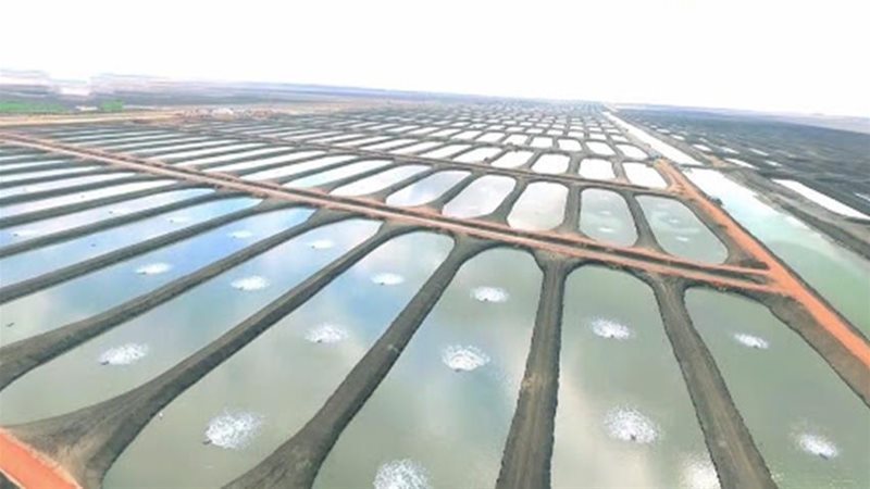 صورة من المشروع