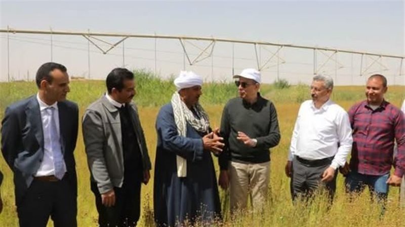 زراعة الكتان بالمنيا 