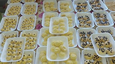 عضو بالتحالف الوطني، «مرسال» ترعى أكثر من 530 طفلا مصابا بمرض PKU شهريا