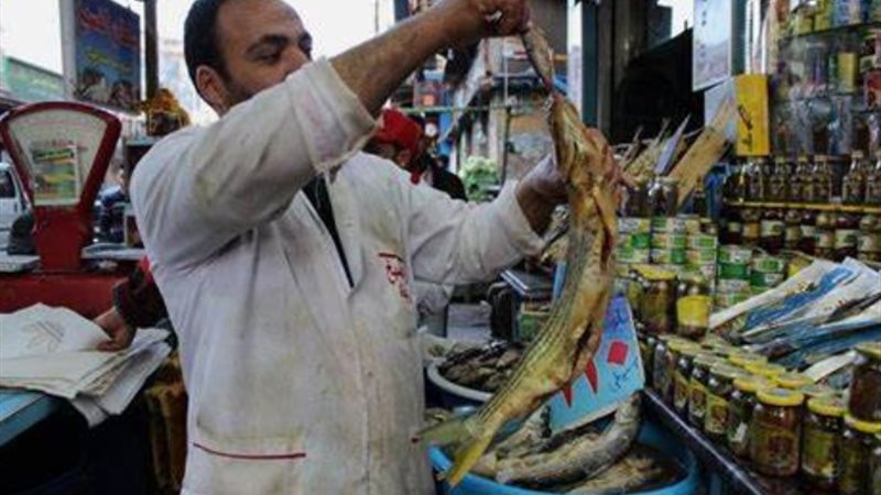 أرشيفيه - فسيخ ورنجة