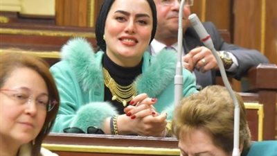 برلمانية: موقف الرئيس السيسي واضح وثابت تجاه القضية الفلسطينية