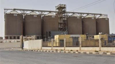 مصر تستهدف توفير 660 مليون دولار من واردات القمح في موازنة 2024-2025