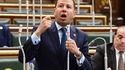 برلماني: استاد المصري بعد التطوير يليق بحجم وتاريخ المدينة الباسلة