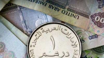 سعر الدرهم الإماراتي مقابل الجنيه المصري اليوم الجمعة 19-4-2024