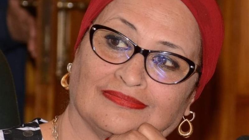 دينا الجندى المحامية بالنقض