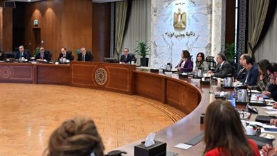 12 معلومة عن تطبيق «رادار الأسعار» للإبلاغ عن مخالفات التجار