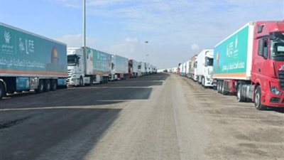 دخول عدد كبير من شاحنات المساعدات لقطاع غزة عبر منفذ رفح بشكل يومي