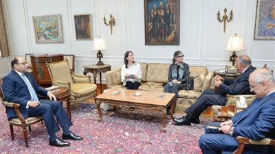 المقررة الأممية لفلسطين: حريصون على مواصلة التشاور مع مصر لتخفيف المعاناة الإنسانية