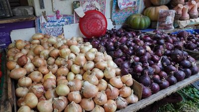وزير الزراعة يعلن استئناف تصدير البصل المصري للسعودية