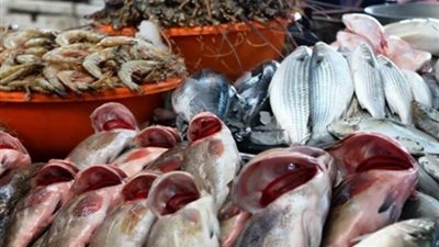 أهالي بورسعيد يقاطعون شراء الأسماك، وعقاب للتجار بسبب غلاء الأسعار