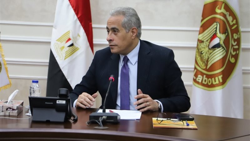 وزير العمل حسن شحاتة