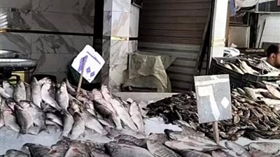 مقاطعة أسواق السمك، ما علاقة شم النسيم بارتفاع الأسعار ؟