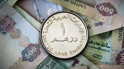 سعر الدرهم الاماراتي مقابل الجنيه المصري اليوم  الأربعاء 24-4-2024