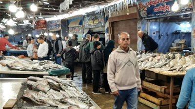 بعد قرار المقاطعة .. تجارية بورسعيد تُعلن انخفاض أسعار الأسماك 70%