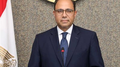 متحدث الخارجية: مصر ترفض أي عملية عسكرية في رفح الفلسطينية