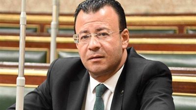 برلماني: الدولة وضعت خطة تنموية متكاملة خاصة بسيناء