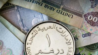 سعر الدرهم الاماراتي أمام الجنيه المصري  اليوم الجمعة 26-4-2024