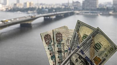 خبراء: تقديرات الدولة للدولار عند الـ 45 جنيهاً في الموازنة يعكس توقعاتها باستقرار سعر الصرف مستقبلاً
