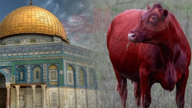ذبح قرابين داخل الأقصى