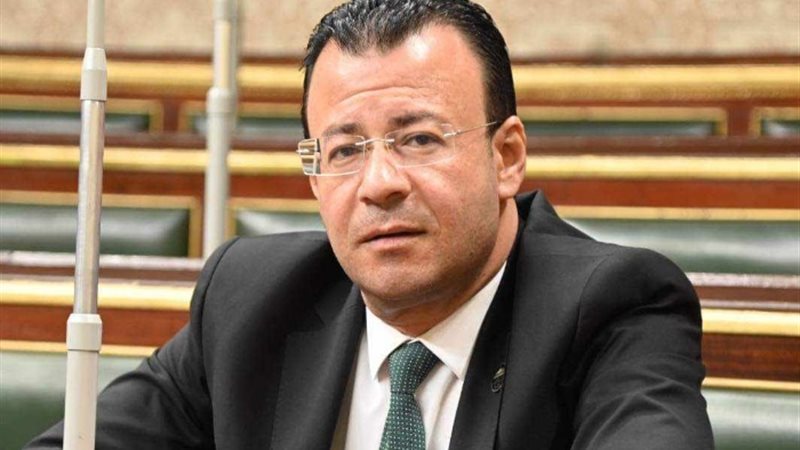 النائب محمود البرعي