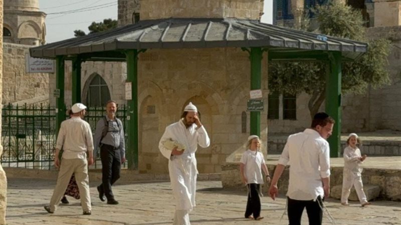 مستوطنون يقتحمون باحات المسجد الأقصى