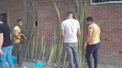 جريد النخيل والسعف، طقوس احتفال الأقباط في أحد الشعانين
