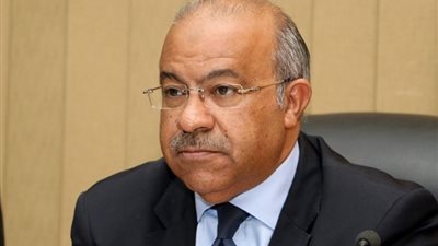 رئيس بورصة السلع يكشف حجم الاحتياطي الاستراتيجي من القمح