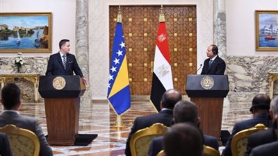 الرئيس السيسى: مصر تحملت مسئوليتها كدولة راعية للسلام فى العالم